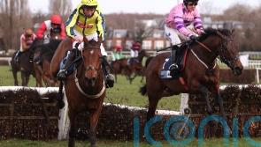 Crambo hits back of the net for O’Brien in EBF Final