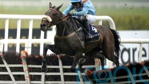 Marie’s Rock taking on Epatante and Honeysuckle in Mares’ Hurdle to savour