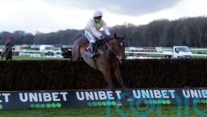 Williams on weather watch for National hope Royale Pagaille