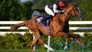 O’Brien shuffling long-distance pack in wake of Kyprios setback