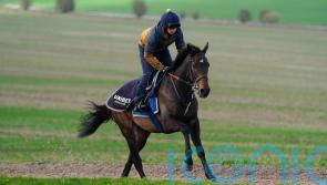 Post-Aintree school to determine Constitution’s chasing plans