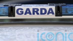 Woman in her 20s found dead after assault in Limerick