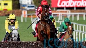 Mighty Potter ‘back to his best’ for Fairyhouse recovery mission