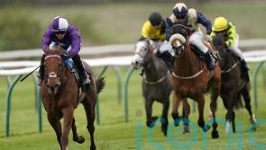 Haynes to aim higher with Nottingham victor Fix You