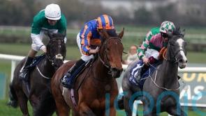 Paddington more likely to represent O’Brien in Craven than Cairo