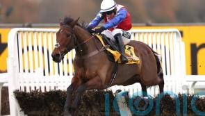 Love Envoi flying the flag for Britain on final day of Punchestown