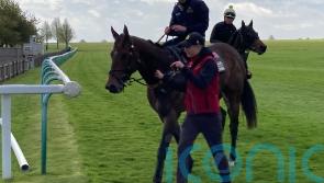 The Astrologist primed for British bow at York