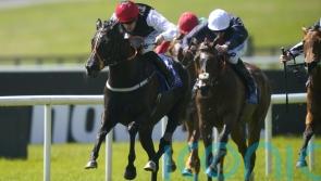 Just perfect from Paddy Twomey filly in Lanwades Stakes