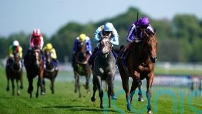 Middleham Park keen for another crack at Little Big Bear with Shouldvebeenaring