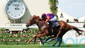 No plans just yet for historic Royal Ascot winner Desert Hero