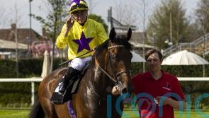 Haggas banking on My Prospero bouncing back to his best