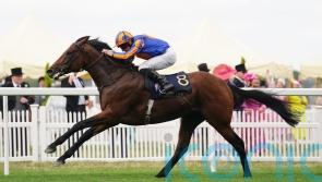 Paddington and Inspiral set for Sussex clash