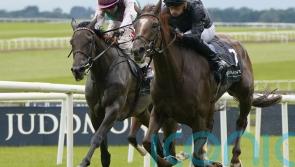 Yorkshire Oaks could be on the agenda for Bluestocking