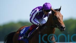 Stone bruise scuppers Deauville plans for Little Big Bear