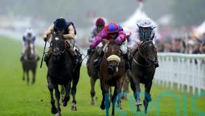 York the next stop for Molecomb second Purosangue