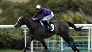 Group-race assignments on the horizon for Ornellaia