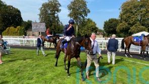 Cambridge puts O&rsquo;Brien on the mark with rare Salisbury runner