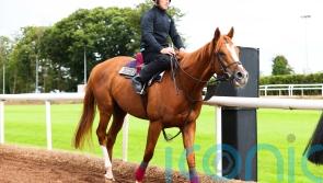 Kyprios on comeback trail in Irish Leger