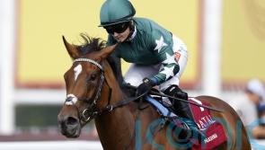 Nashwa team turning thoughts to Champions Day ‘end game’