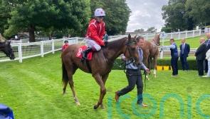 Sangster maps out Rockfel target for Shuwari