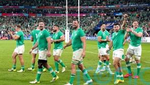 Ireland report clean bill of health after bruising South Africa showdown