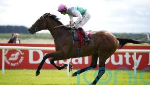 Westover has sights set on Breeders’ Cup after brave Arc bid