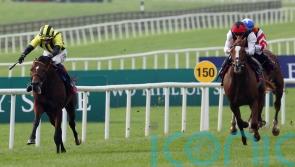 Eldar Eldarov set to bypass Champions Day option