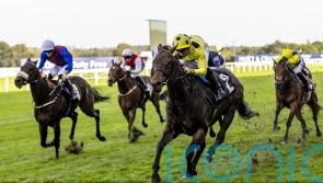 Emaraaty Ana may have booked Breeders’ ticket with Ascot win