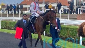 Hamish stays perfect for the year in victory at Newmarket