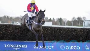 Conditions could scupper Drasher’s Ascot date