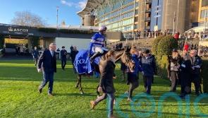 Blueking D’Oroux takes Coral Hurdle prize