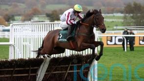 Buddy One Hatton’s Grace decision on hold until Friday