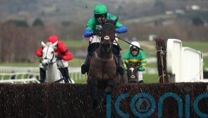 Ginny’s Destiny continues on upward curve at Cheltenham