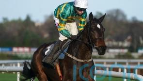 Fact To File gets off the mark over fences