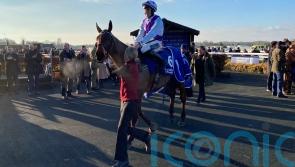 J’Ai Froid digs deep for Warwick win