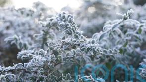 Freezing temperatures cause travel disruption in Ireland