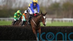 ‘Brilliant’ Brides Hill completes hat-trick at Huntingdon