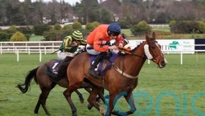 Madara strikes for Britain at Leopardstown