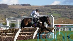 Constitution speed leaves De Boinville ‘no margin for error’