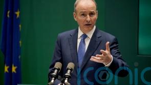 Irish funding for Casement Park ‘should not be an issue of contention’ – Martin