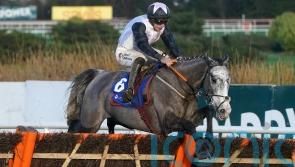 Champion Hurdle enters Elliott’s Irish Point reckoning