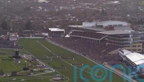 Baring Bingham becomes Gallagher Novices’ Hurdle