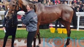 ‘Horse of a lifetime’ Corach Rambler does Russell proud in defeat