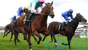 Frankel sibling Kikkuli upholds family honour at Newmarket