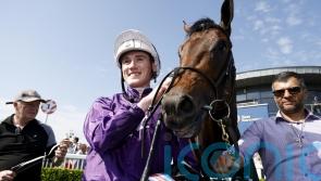 Bucanero Fuerte too strong for Lacken rivals