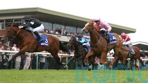 Live In The Dream team considering Haydock ‘curveball’