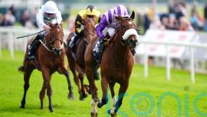 Murphy backs Satire’s class but admits stamina question