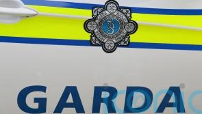 Pedestrian dies following Co Clare collision