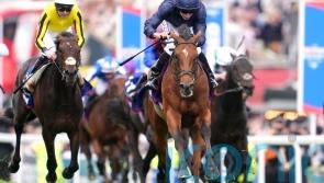 Bookmakers ‘left counting the cost’ of more Derby magic from O’Brien