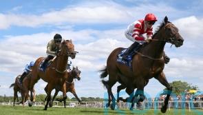 Osborne fears handicapper now has Ouzo in his grip